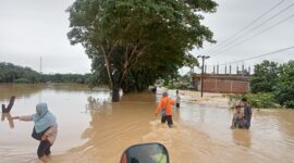 Situasi banjir yang melanda wilayah Aceh Timur, Provinsi Aceh, Jumat (7/10)