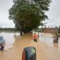 Situasi banjir yang melanda wilayah Aceh Timur, Provinsi Aceh, Jumat (7/10)