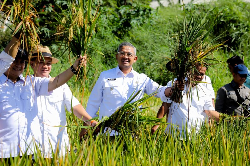 Wali Kota Bandung, Muhammad Farhan, yang hadir langsung di Kelompok Tani Makmur, Jalan Kali Cidurian, Kelurahan Cipamokolan, Kecamatan Rancasari, Senin, 7 April 2025.