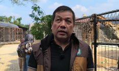 berita-pilihan-foto
