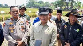 Utusan Khusus Presiden Bidang Ketahanan Pangan Muhamad Mardiono saat di acara panen raya di Desa Tegal Luar, Kecamatan Bojongsoang, Kabupaten Bandung, Jawa Barat, Minggu (11/10/2026).